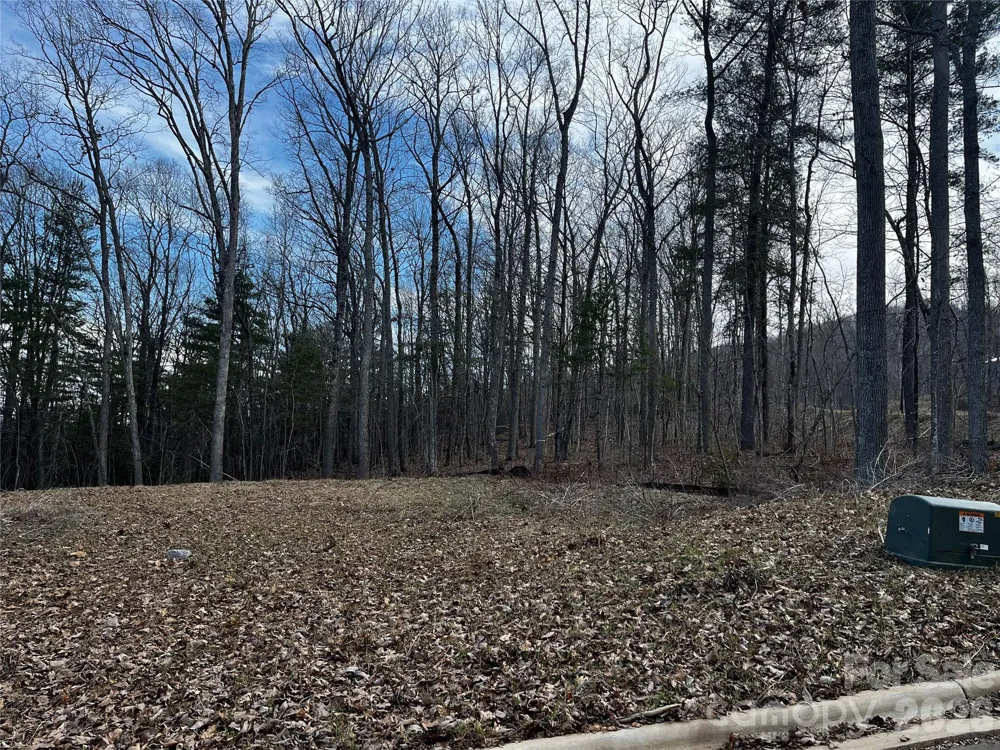 105 Woodland Meadows Drive #Tract A & B Asheville, NC 28803