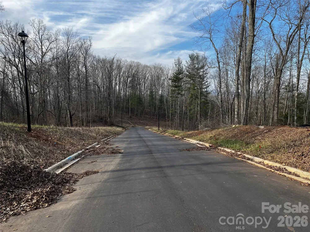 105 Woodland Meadows Drive #Tract A & B Asheville, NC 28803