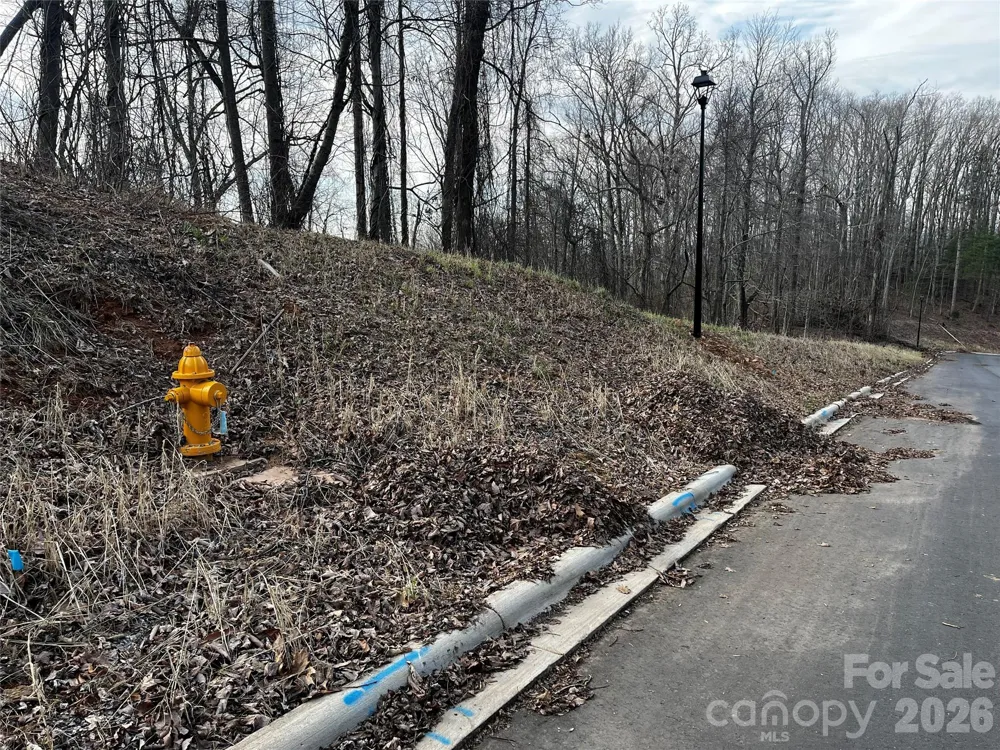 105 Woodland Meadows Drive #Tract A & B Asheville, NC 28803