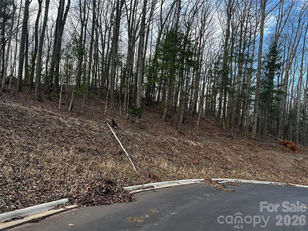 105 Woodland Meadows Drive #Tract A & B Asheville, NC 28803