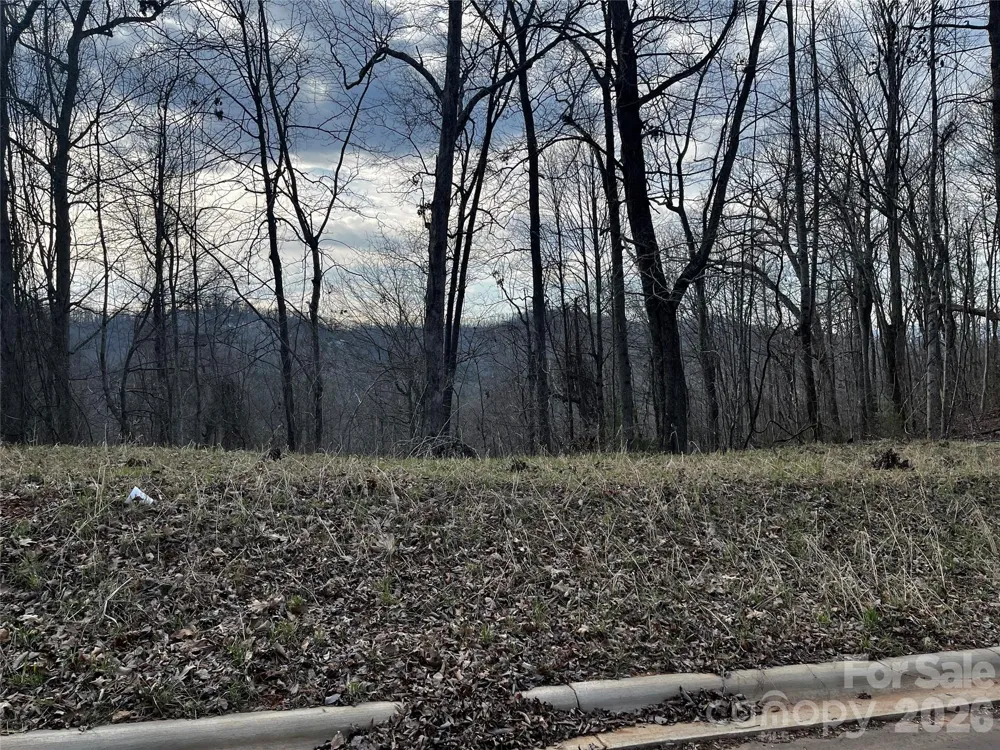105 Woodland Meadows Drive #Tract A & B Asheville, NC 28803