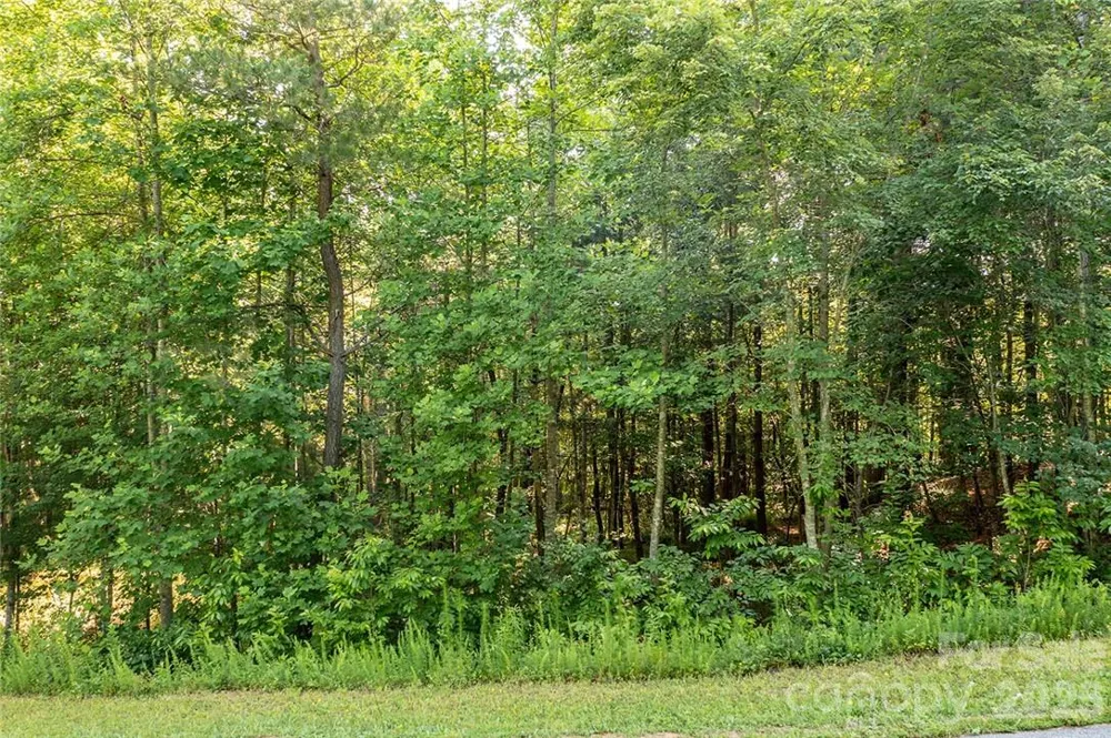 4856 Rio De Luna Drive #31,32, & 33 Hickory, NC 28601