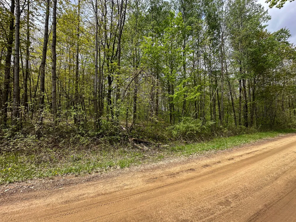 97 Fawn Circle Harrison, MI 48625