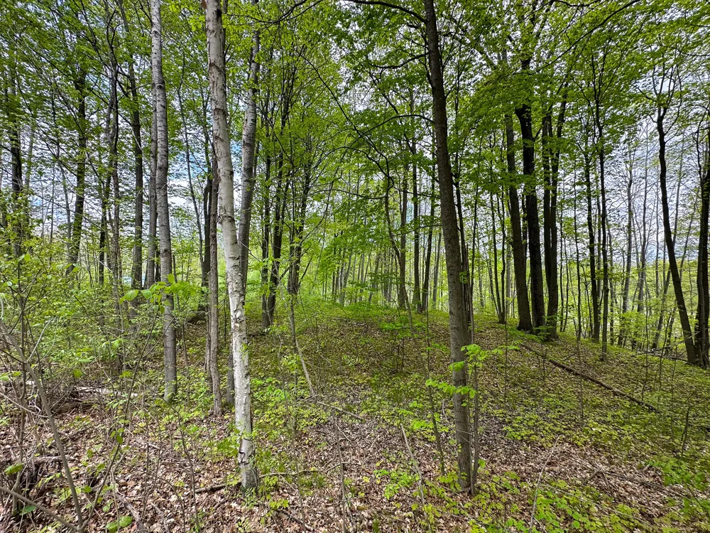 97 Fawn Circle Harrison, MI 48625