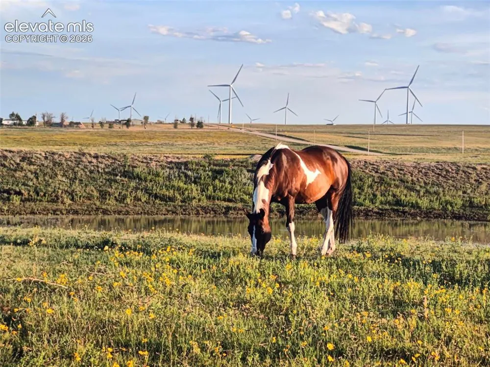 Tract 2 Currier Road Calhan, CO 80808