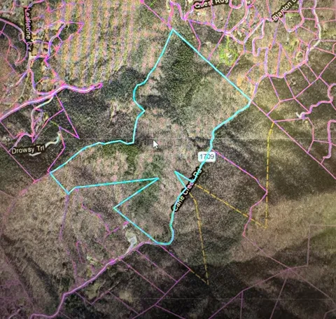 Cane Creek Road