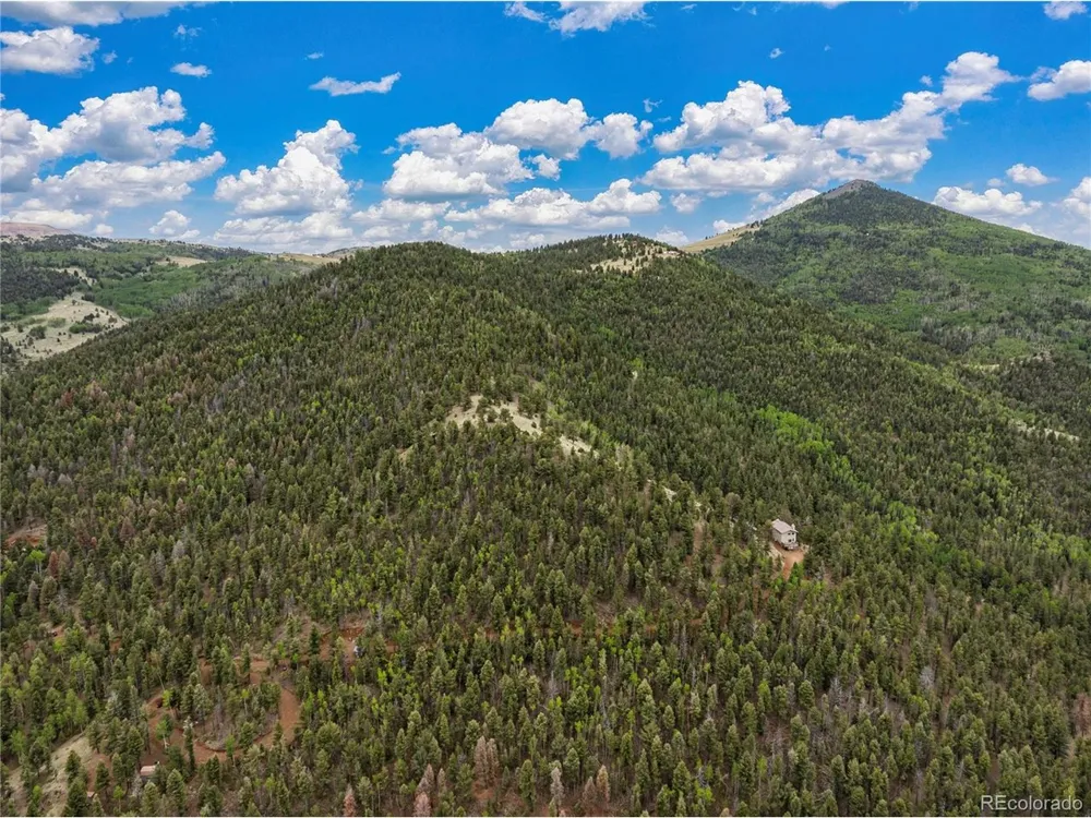 3043 County Road 1 Cripple Creek, CO 80813