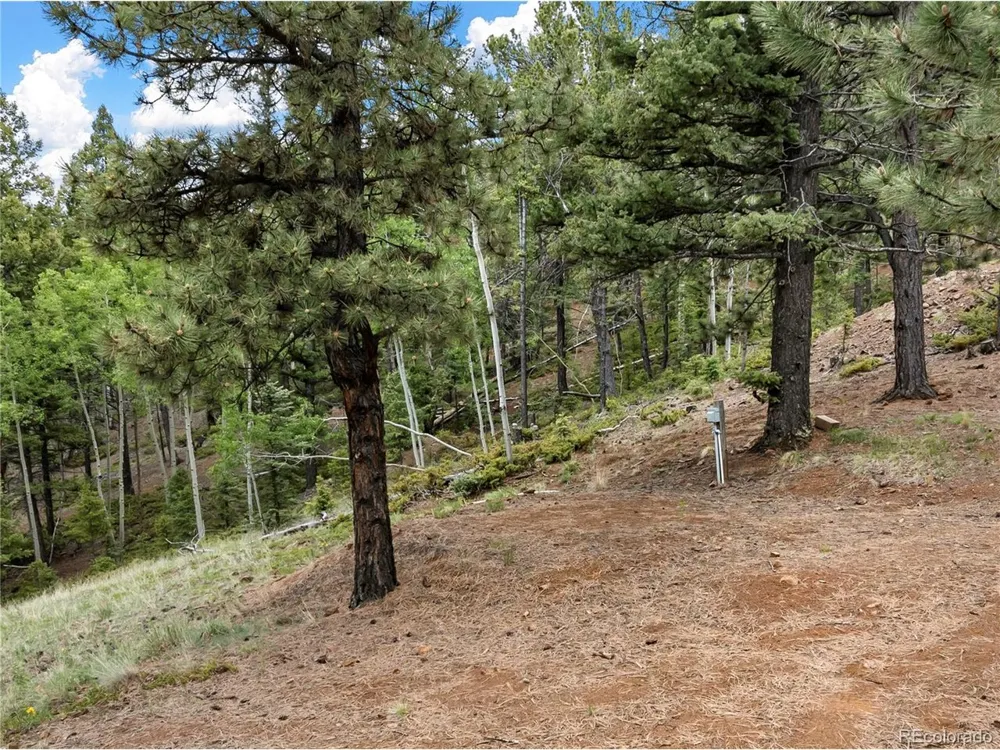 3043 County Road 1 Cripple Creek, CO 80813