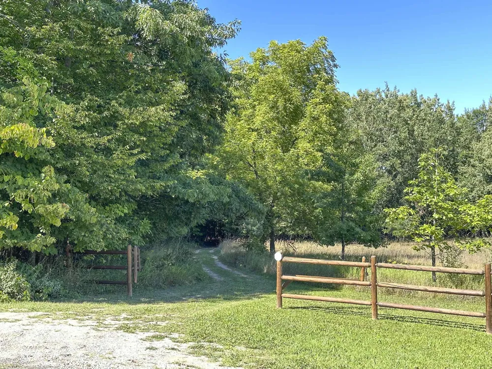 3900 Swaney Road Peninsula Township, MI 49686