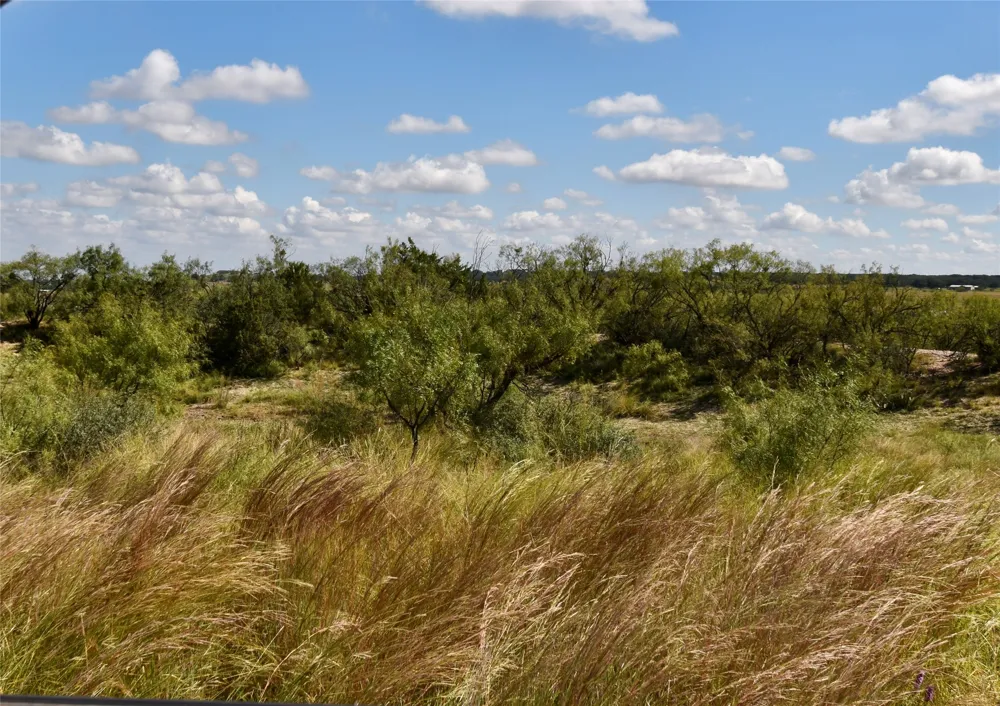 159 Private Road 939 Brady, TX 76825
