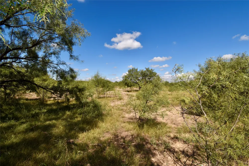 159 Private Road 939 Brady, TX 76825