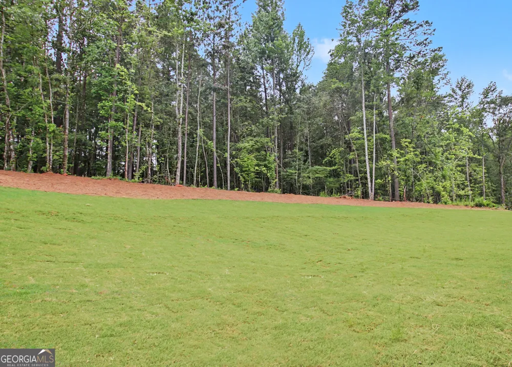 124 Ryeland DR Senoia, GA 30276