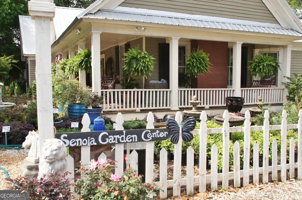 124 Ryeland DR Senoia, GA 30276