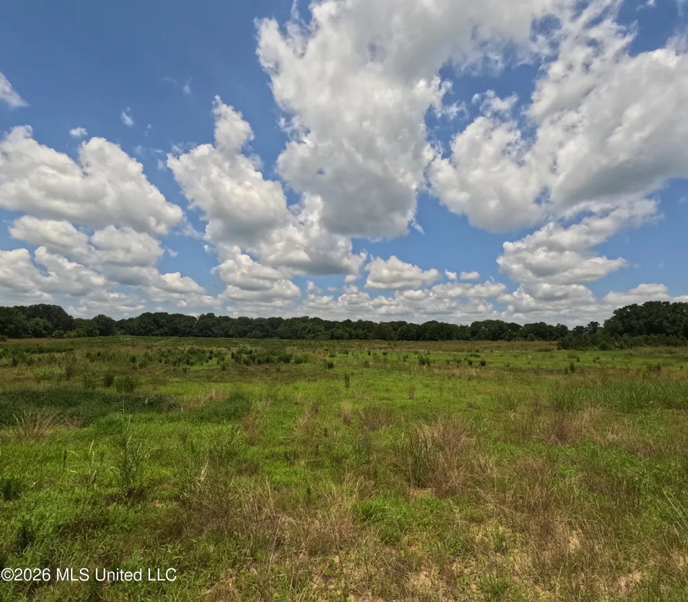 Old Port Gibson/cook Road Utica, MS 39175