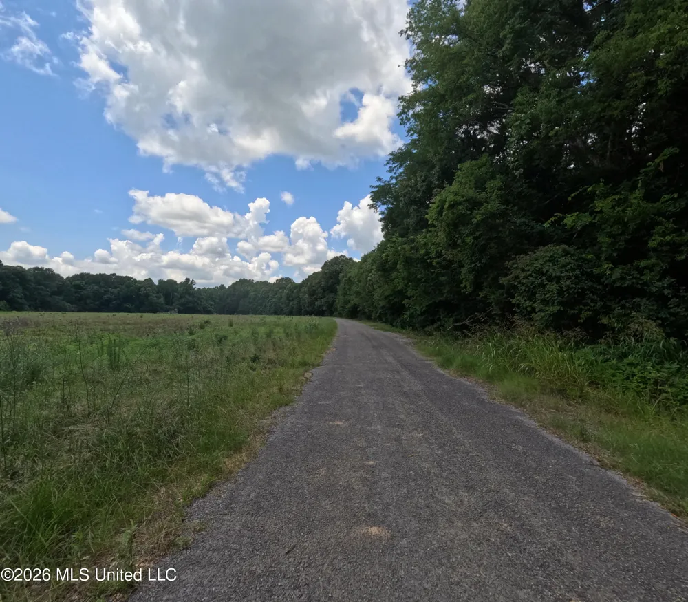 Old Port Gibson/cook Road Utica, MS 39175