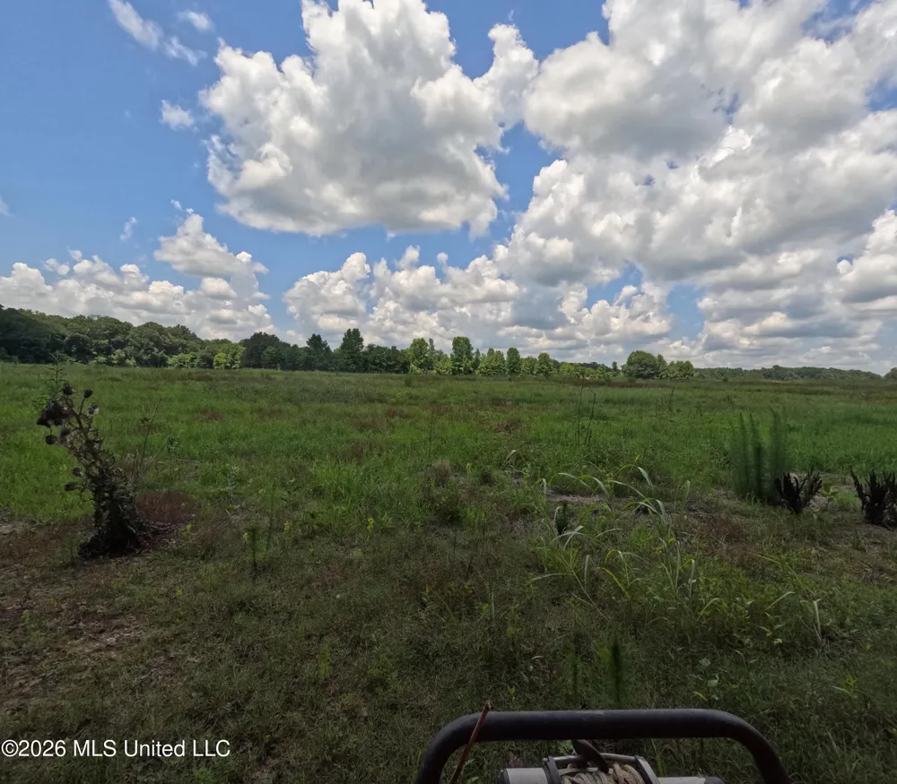 Old Port Gibson/cook Road Utica, MS 39175