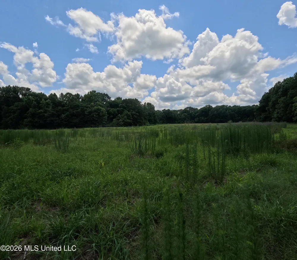 Old Port Gibson/cook Road Utica, MS 39175