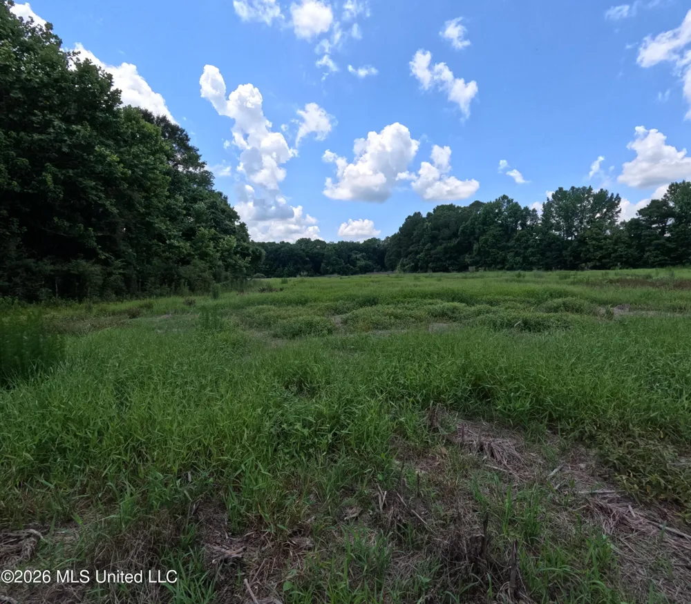 Old Port Gibson/cook Road Utica, MS 39175