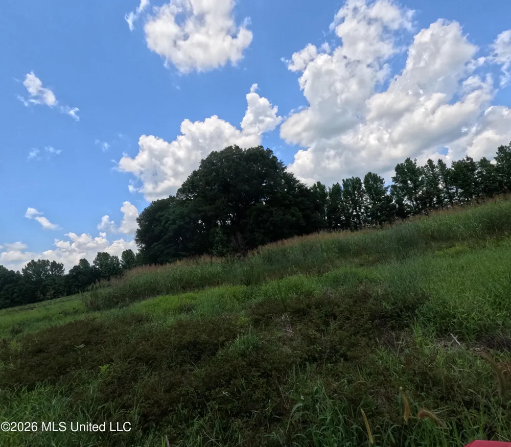 Old Port Gibson/cook Road Utica, MS 39175
