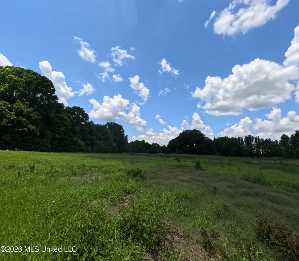 Old Port Gibson/cook Road Utica, MS 39175