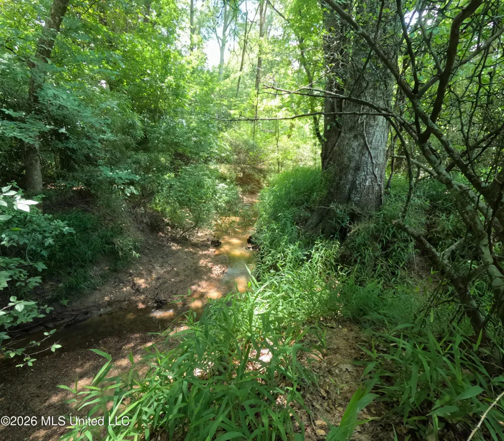 Old Port Gibson/cook Road Utica, MS 39175