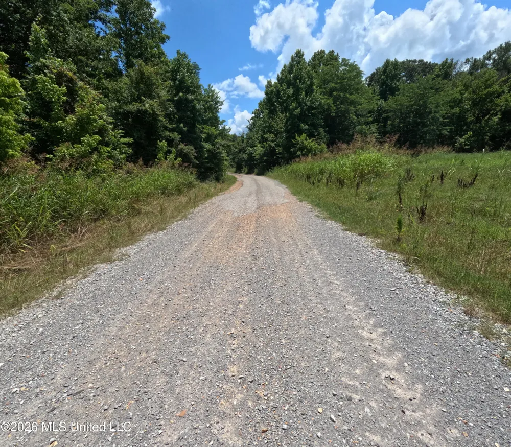 Old Port Gibson/cook Road Utica, MS 39175