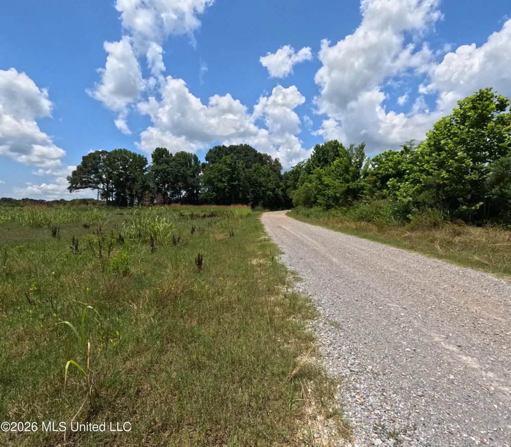 Old Port Gibson/cook Road Utica, MS 39175