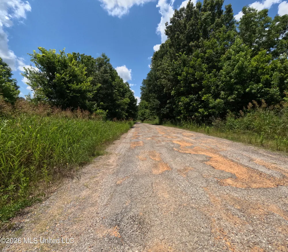 Old Port Gibson/cook Road Utica, MS 39175