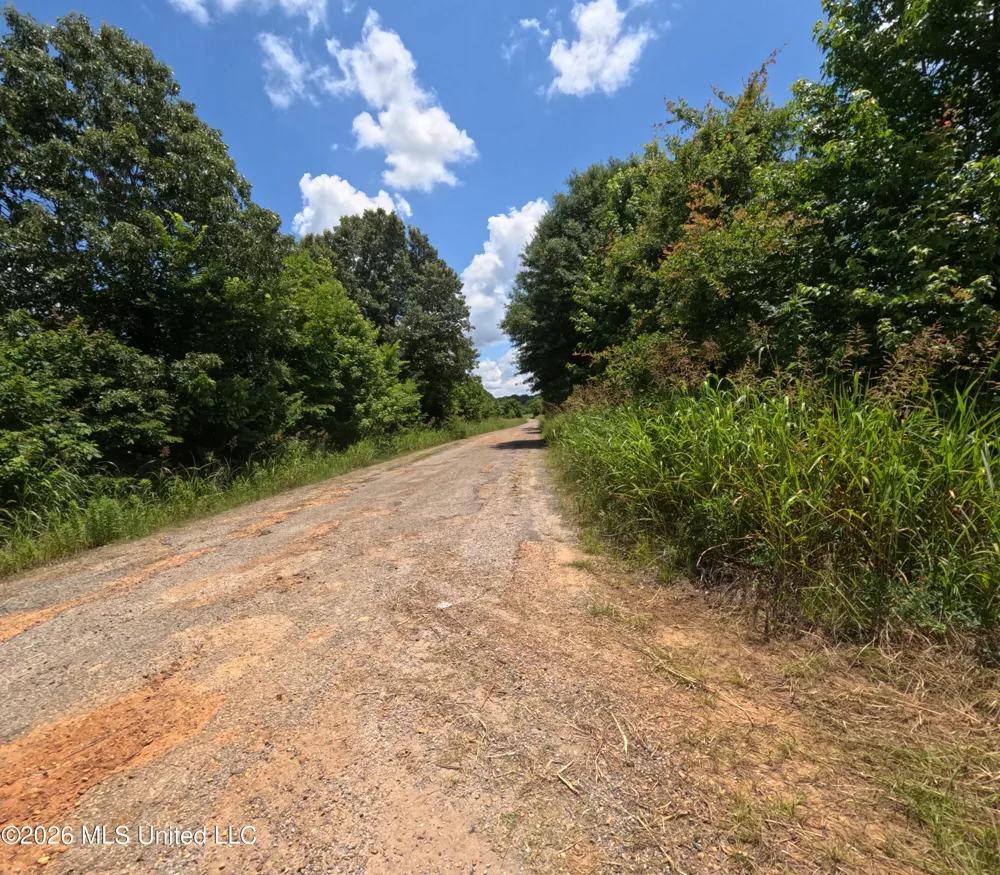 Old Port Gibson/cook Road Utica, MS 39175