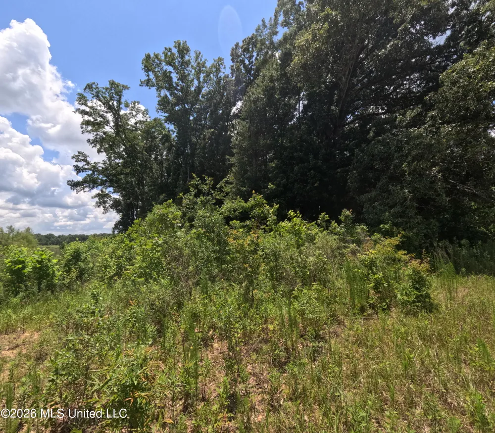 Old Port Gibson/cook Road Utica, MS 39175