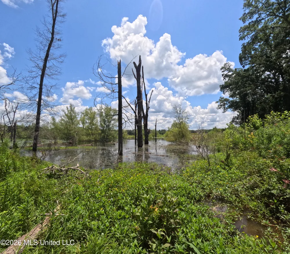 Old Port Gibson/cook Road Utica, MS 39175