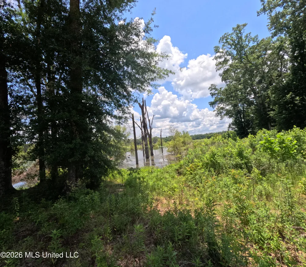 Old Port Gibson/cook Road Utica, MS 39175
