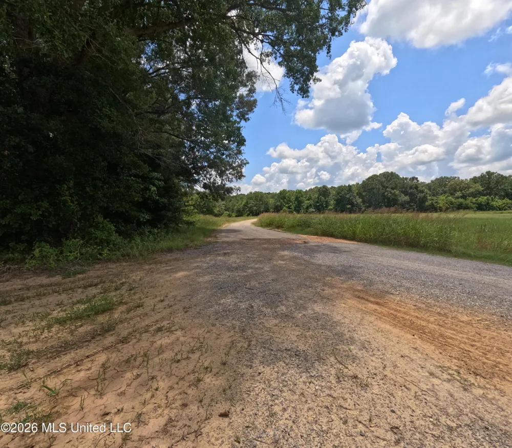 Old Port Gibson/cook Road Utica, MS 39175