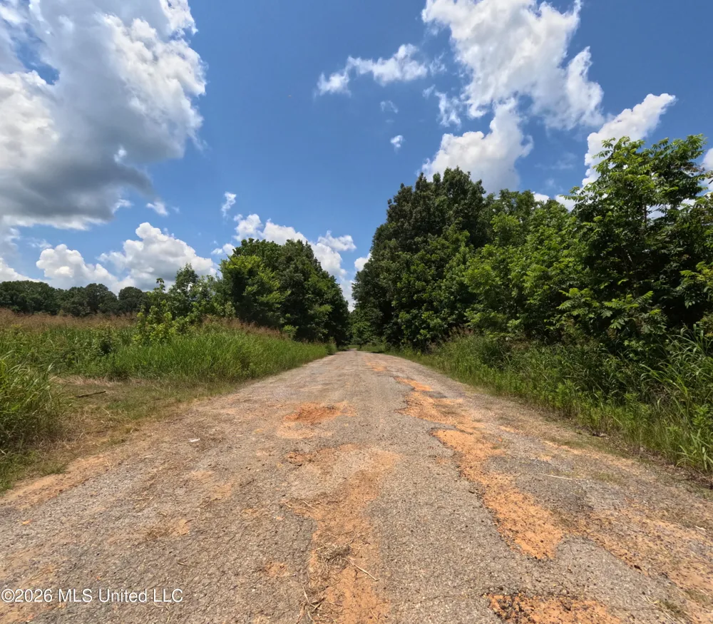 Old Port Gibson/cook Road Utica, MS 39175