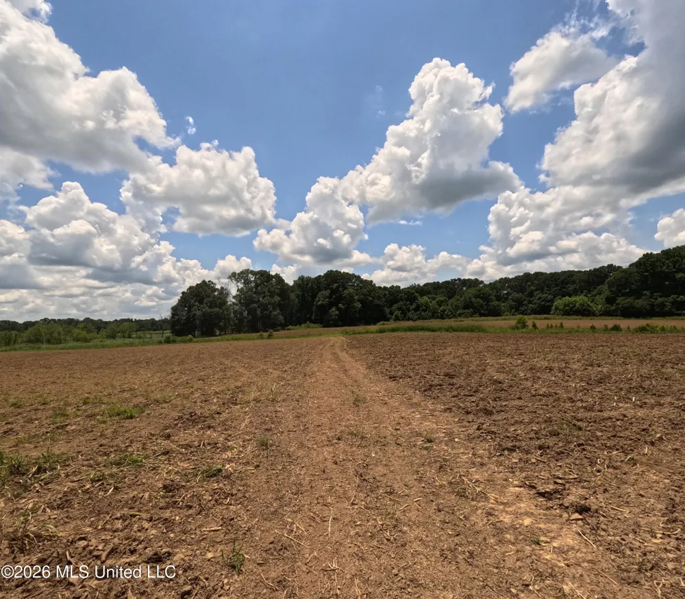 Old Port Gibson/cook Road Utica, MS 39175