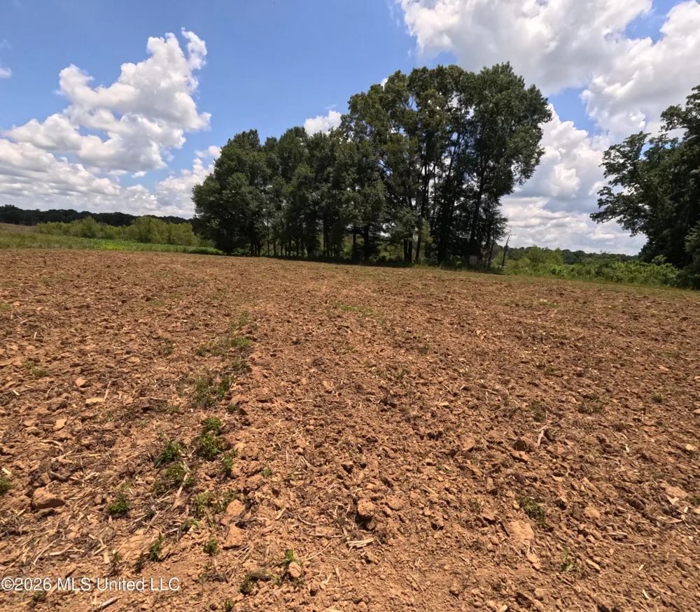 Old Port Gibson/cook Road Utica, MS 39175