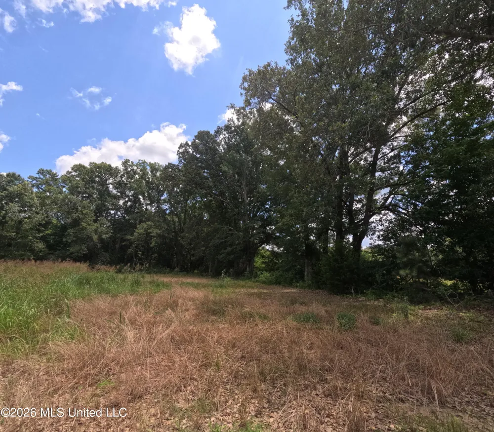 Old Port Gibson/cook Road Utica, MS 39175