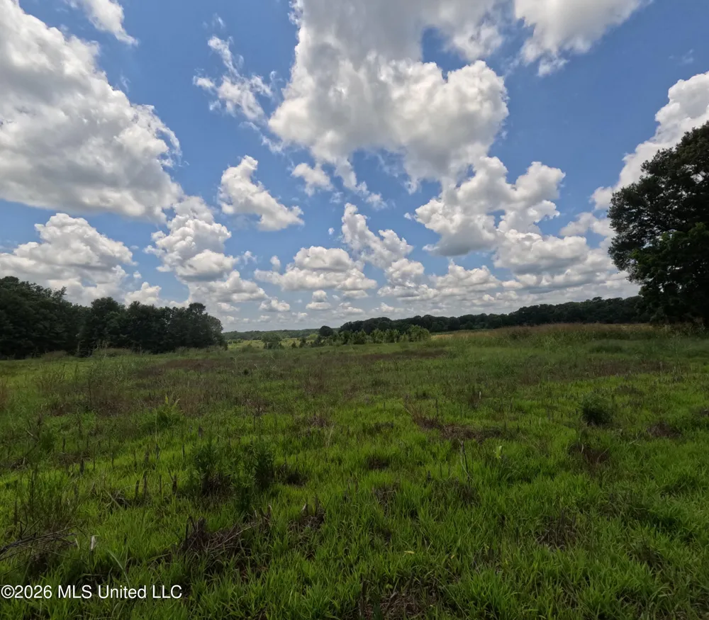 Old Port Gibson/cook Road Utica, MS 39175
