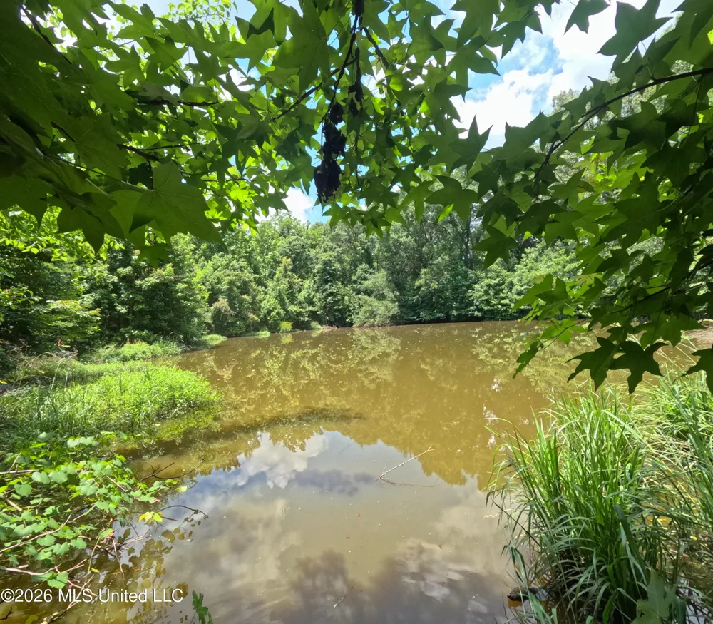 Old Port Gibson/cook Road Utica, MS 39175