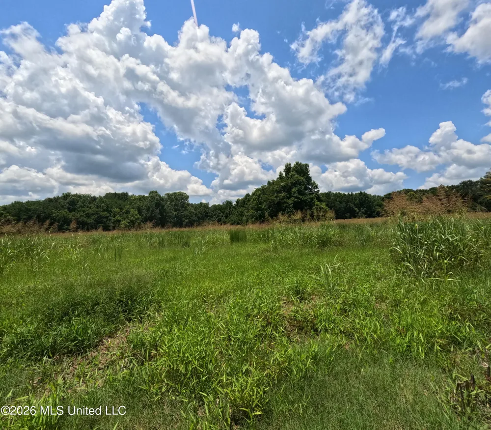 Old Port Gibson/cook Road Utica, MS 39175