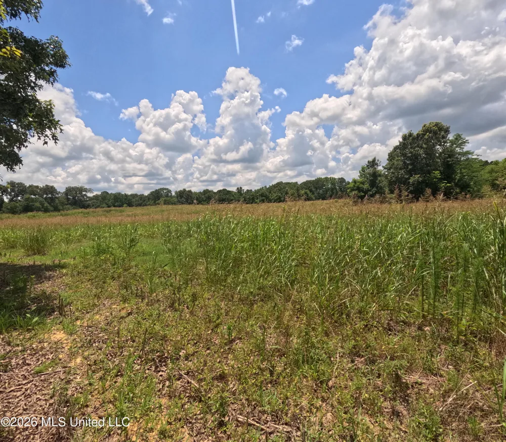 Old Port Gibson/cook Road Utica, MS 39175