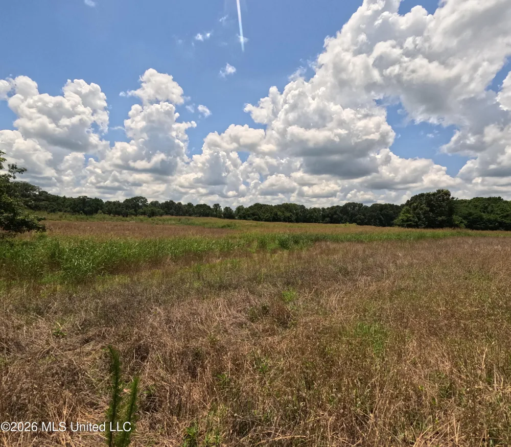 Old Port Gibson/cook Road Utica, MS 39175
