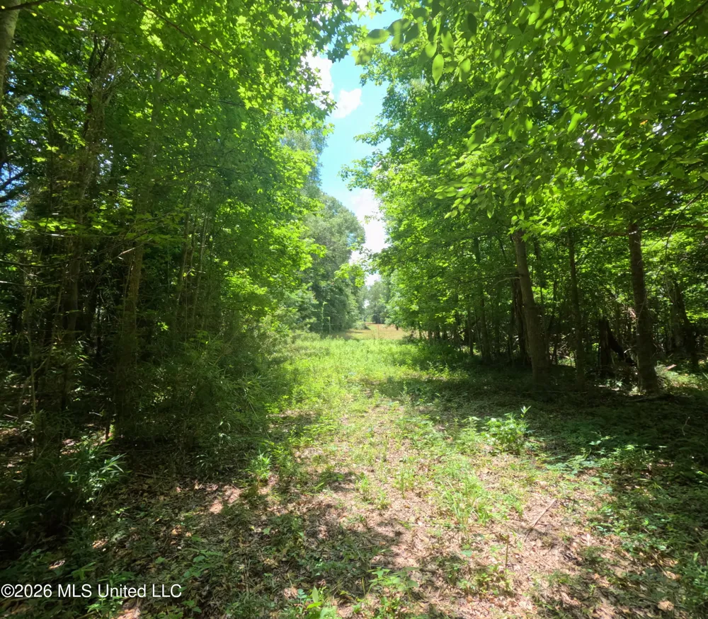 Old Port Gibson/cook Road Utica, MS 39175