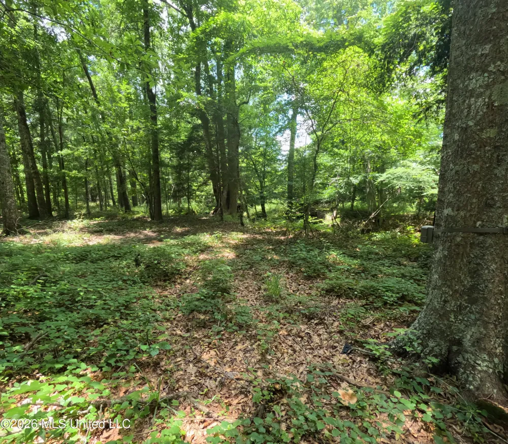 Old Port Gibson/cook Road Utica, MS 39175