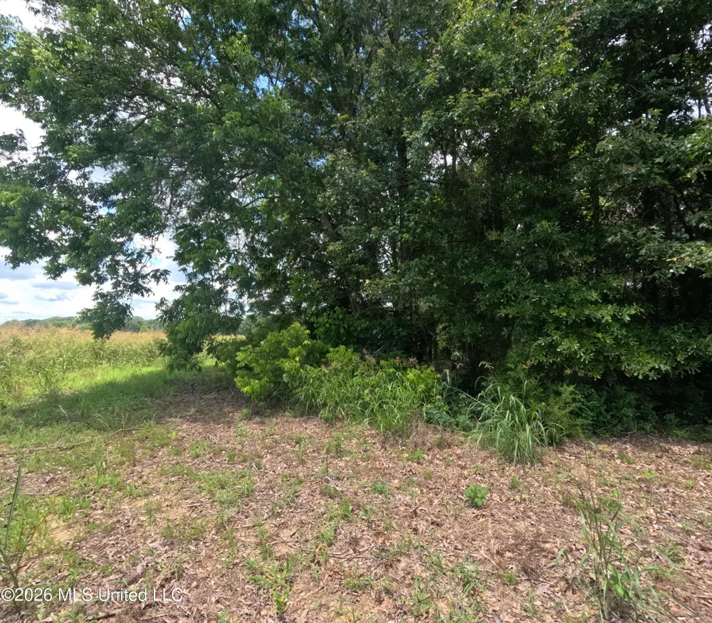 Old Port Gibson/cook Road Utica, MS 39175