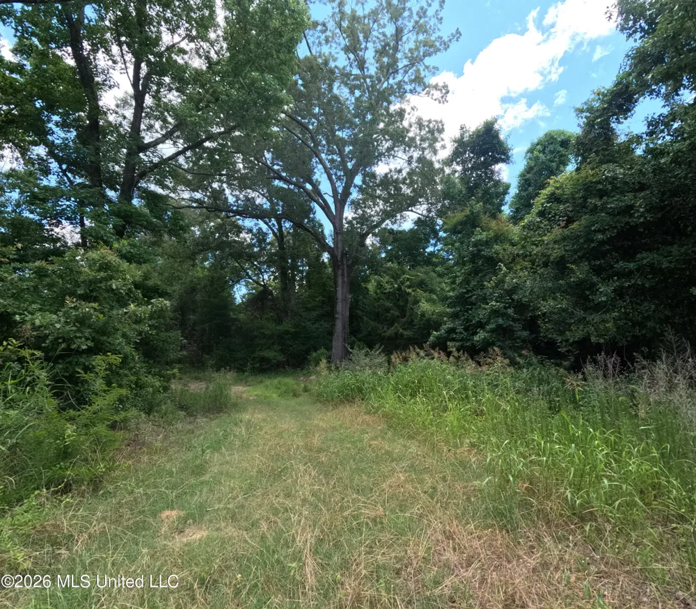 Old Port Gibson/cook Road Utica, MS 39175