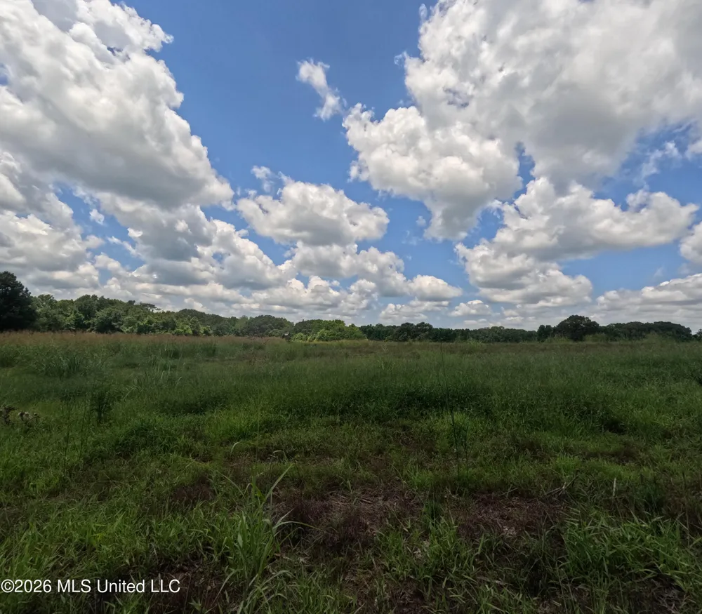 Old Port Gibson/cook Road Utica, MS 39175