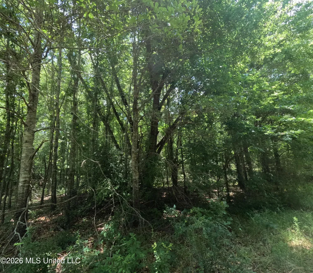 Old Port Gibson/cook Road Utica, MS 39175