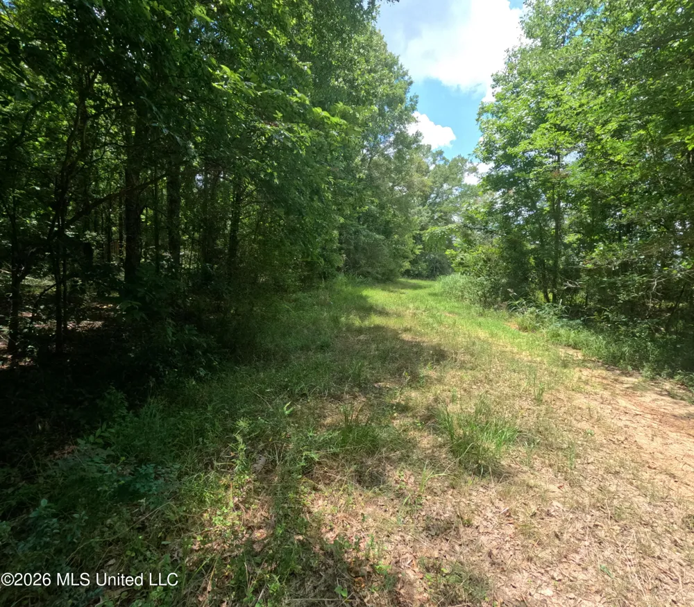 Old Port Gibson/cook Road Utica, MS 39175