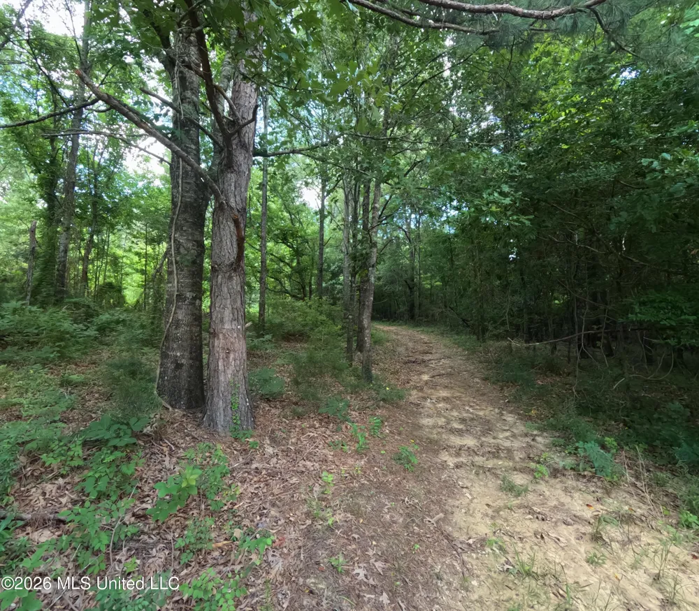 Old Port Gibson/cook Road Utica, MS 39175